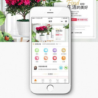 金山门店微商城小程序开发