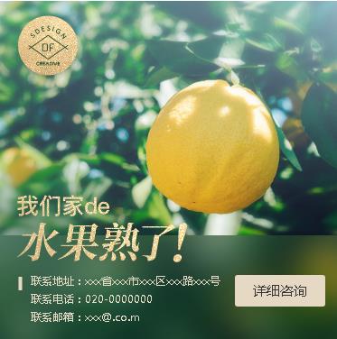 金山果园果林小程序开发